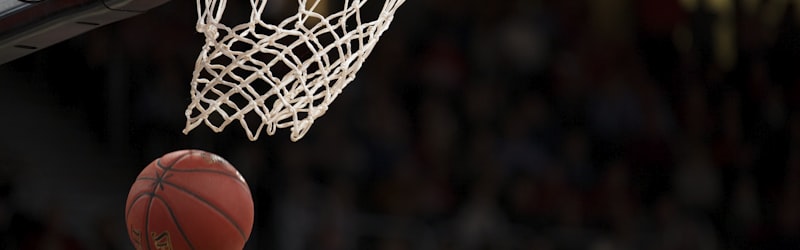 篮球运动员扣篮精彩瞬间 - NBA季后赛专题