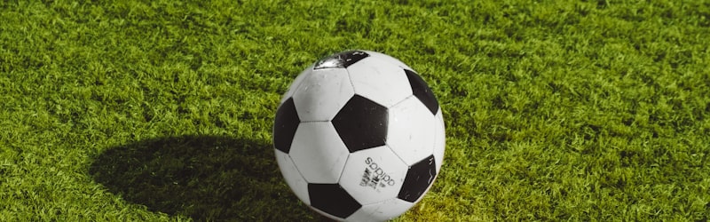 2026世界杯官方宣传图 - 足球与全球地图元素